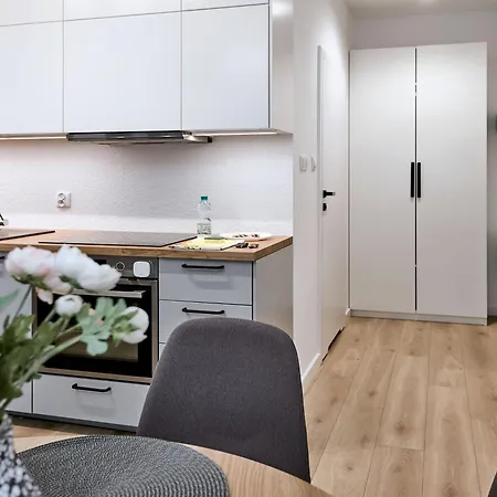 Zelazna Modern Studio Apartment Poznan